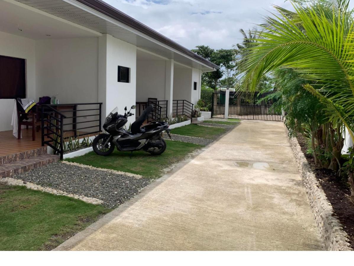 Palm Tree Lodge Moalboal Exterior photo