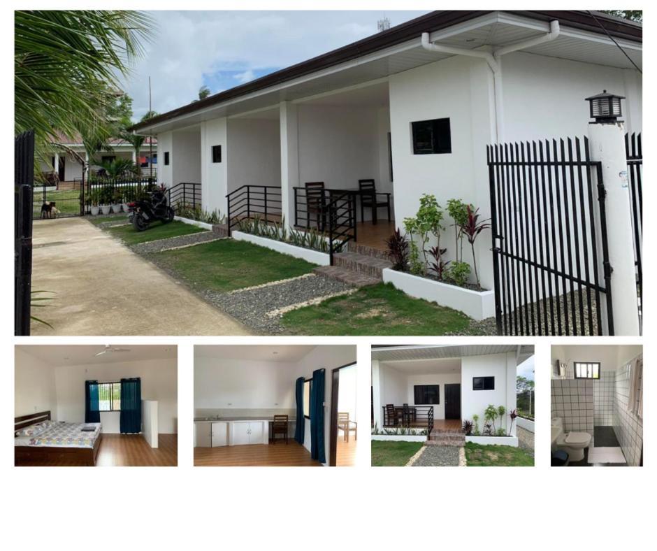 Palm Tree Lodge Moalboal Exterior photo